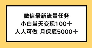 微信最新流量任务，小白当天变现100+，人人可做-魅姬资源宝藏网
