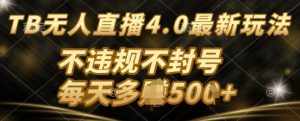TB无人直最新玩法，不违法不封号-魅姬资源宝藏网