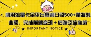 利用流量卡全平台暴利日引500+精准创业粉-魅姬资源宝藏网